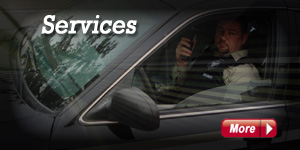 Hamilton Security Company - More About Our Services